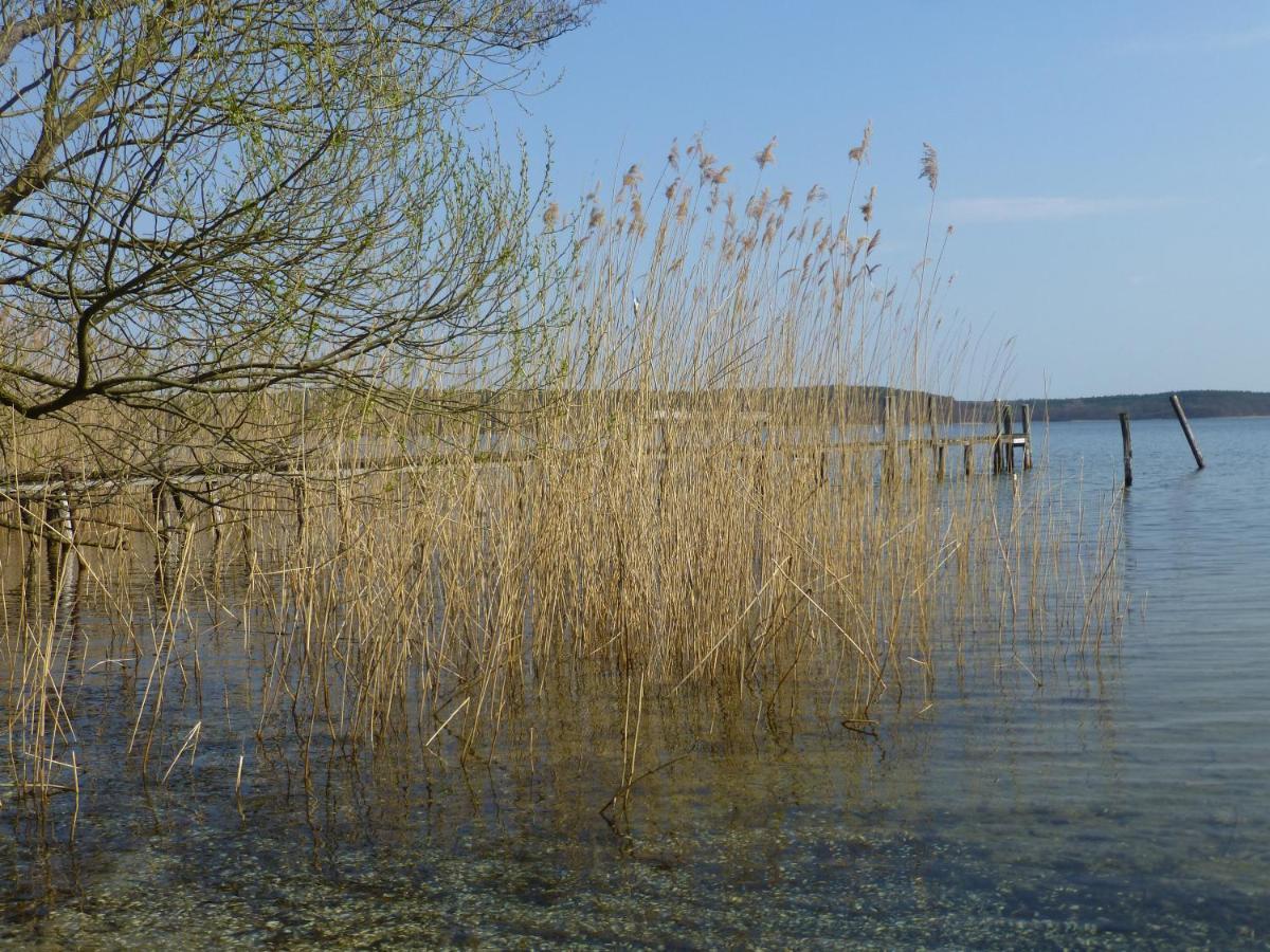 Altes Fischerhaus Villa Plau am See Kültér fotó